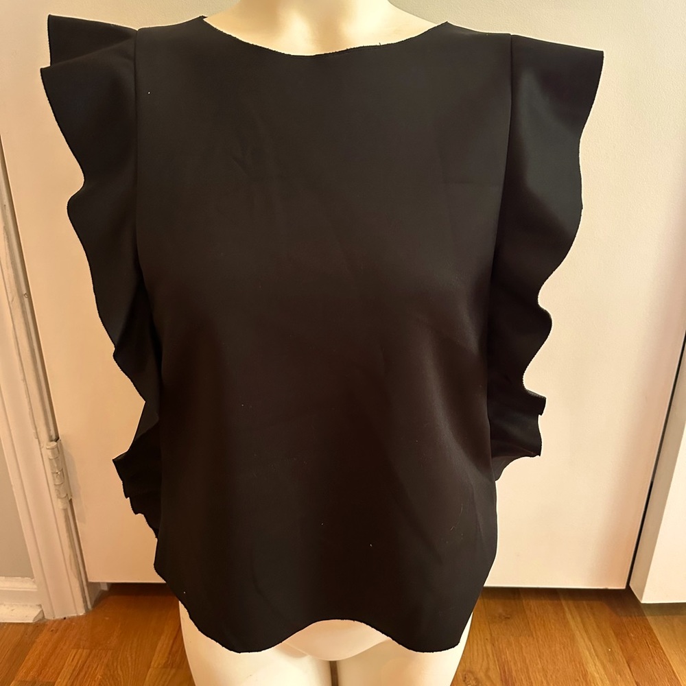 NWOT Aqua Blouse w Statement Sleeves